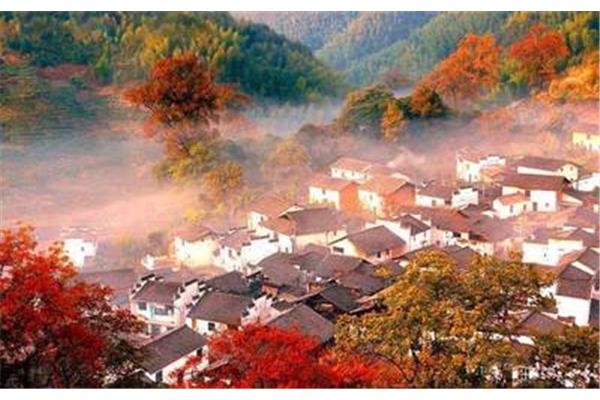 婺源秋季旅游攻略,江西婺源秋季旅游攻略